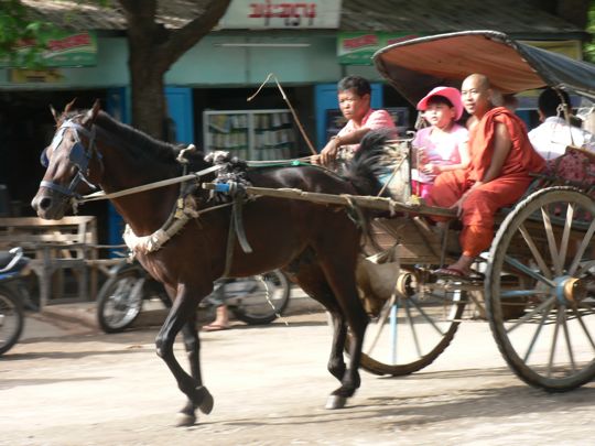 In A Hurry, Bagan, Burma, September, 2009.